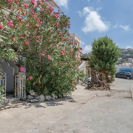 Syrios No 1 Appartement Myrties