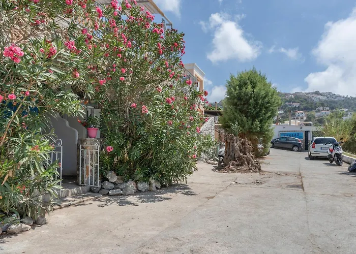 Syrios No 1 شقة Myrties